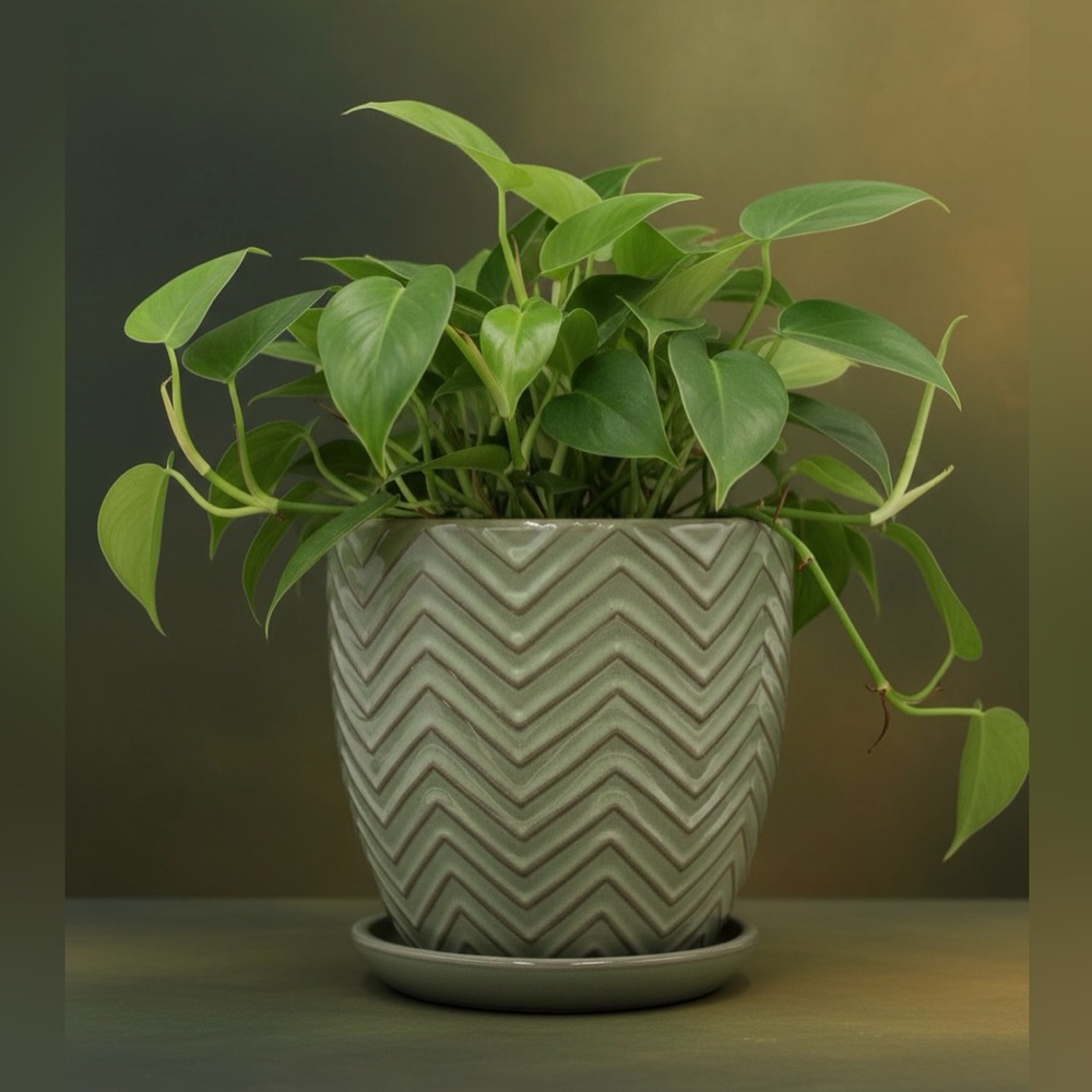 Sage Green Chevron Ceramic Planter with Attached Saucer | 7-Inch Handcrafted
